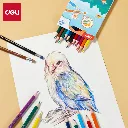 deli-color-wow-houtvrije-kleurpotloden-12-kleuren-2.webp