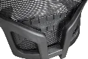 close-up.webp