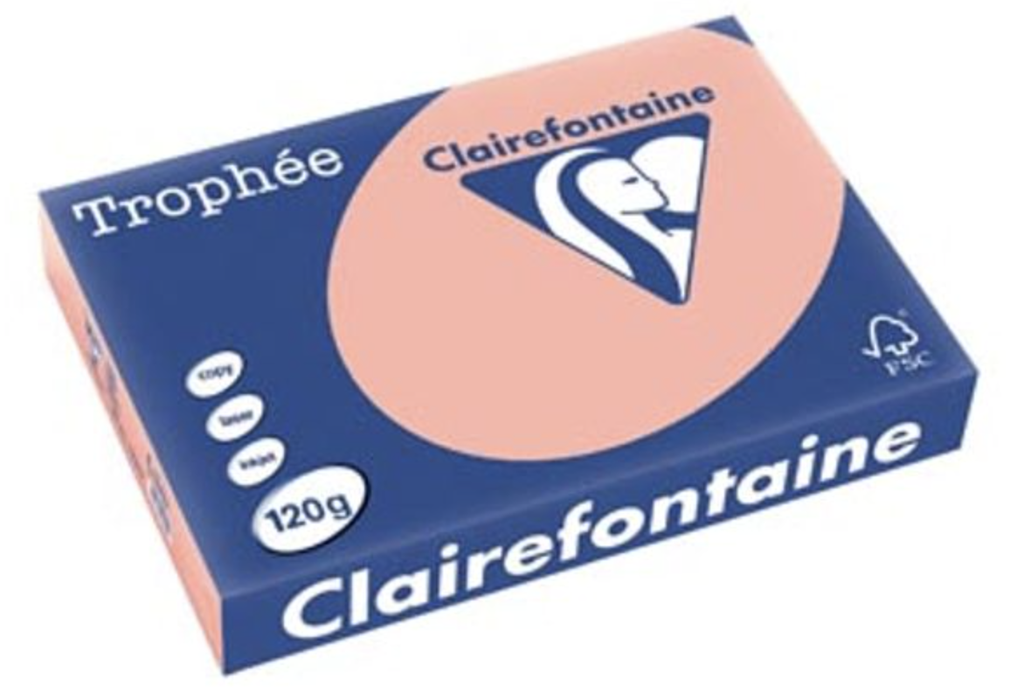 [SP-1049PC-5] Kopieerpapier - "Trophée" - A4 160g/m² - perzik - 5 pakken à 250 vel  