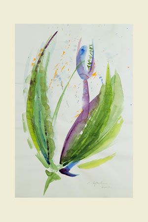 Aquarelpapier "da capo" - 50 x 65 cm - 165 g/m2  - per 2 pakken à 25 vel