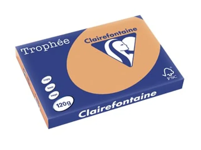 Trophée Clairfontaine - A3 - 120 g/m² -caramel - 1 pak à 250 vel