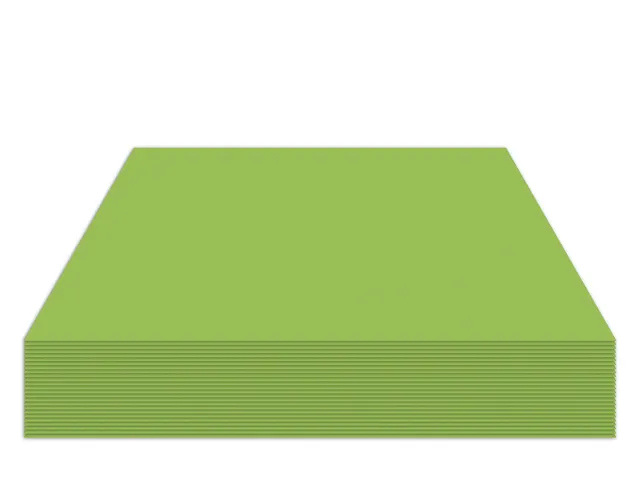 [KTC-K-0045-551-2] Fotokarton - 50x70cm - 300gr - appelgroen- 2 pak à 25 vel