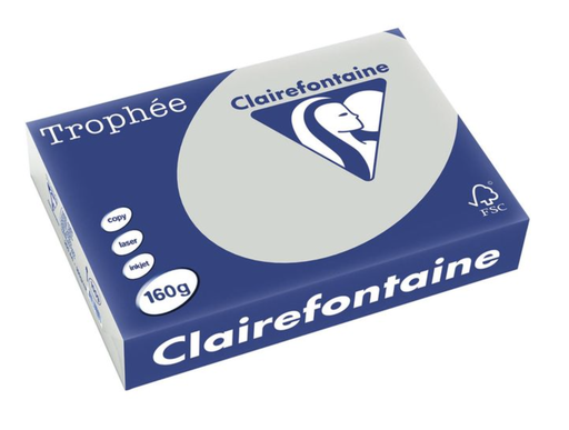 [SP-1065C-1] Trophée Clairfontaine - A3 - 160 g/m² - parelgrijs - 1 pak à 250 vel