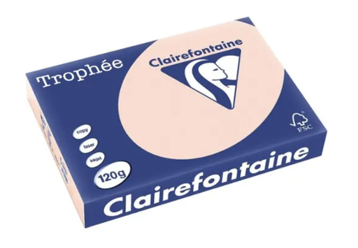 [SP-1104PC-1] Trophée Clairfontaine - A4 - 160 g/m² - zalm - 1 pak à 250 vel 