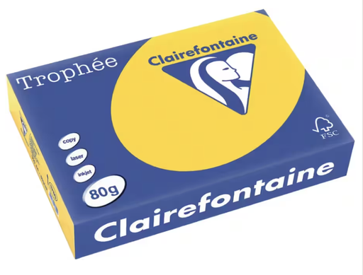 [SP-1110C-1] Trophée Clairfontaine - A3 - 160 g/m² - 
 goudgeel - 1 pak à 250 vel