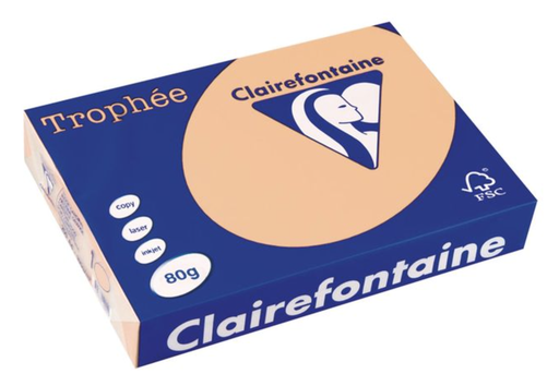 [SP-1892PC-3] Trophée Clairfontaine - A3 - 80 g/m² - zalm - 3 pak à 500 vel 