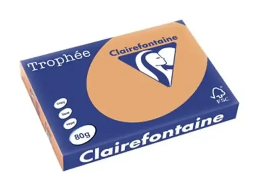 [SP-1254C-1] Trophée Clairfontaine - A3 - 80 g/m² -caramel - 1 pak à 500 vel