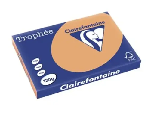 [SP-1304C-1] Trophée Clairfontaine - A3 - 120 g/m² -caramel - 1 pak à 250 vel