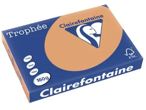 [SP-1109C-1] Trophée Clairfontaine - A3 - 160 g/m² -caramel - 1 pak à 250 vel 